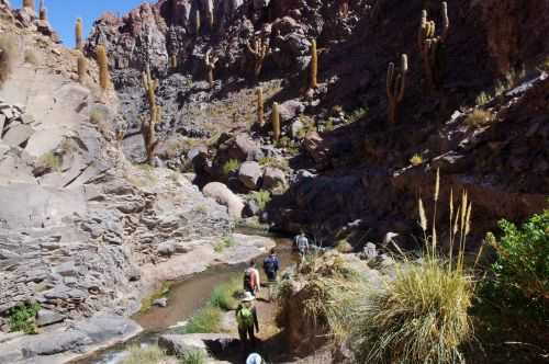 TREKKING NEL DESERTO DI ATACAMA 2015